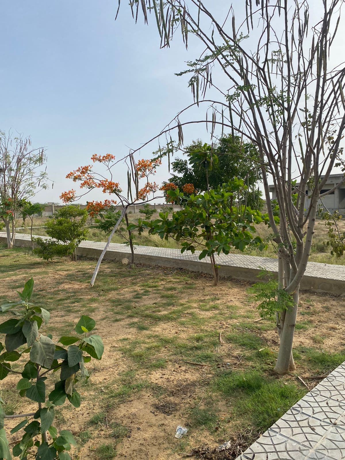 Latest Park Picture