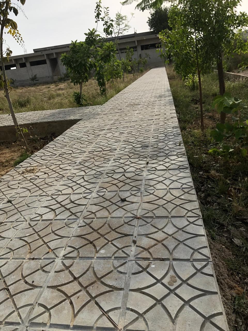 Latest Park Picture